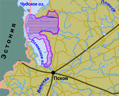 Водно-болотные угодья Псковско-Чудская приозерная низменность