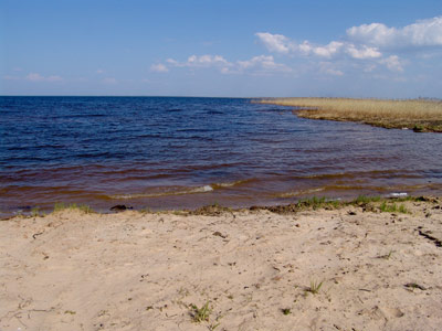 Западный берег Псковского озера